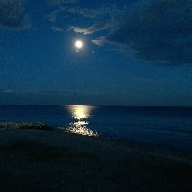 28964921892_3e114a6029_z